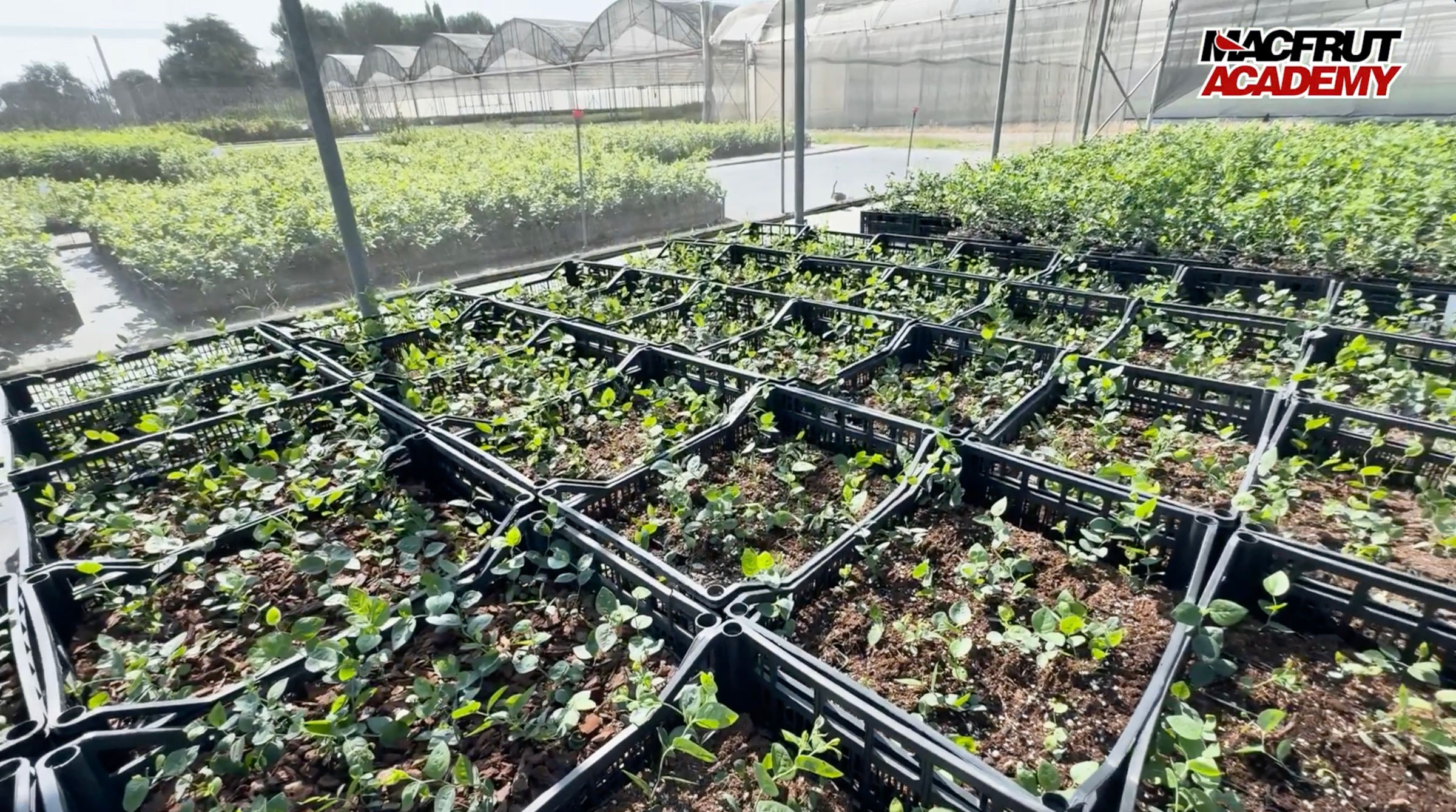 Screenshot|Screenshot|Screenshot